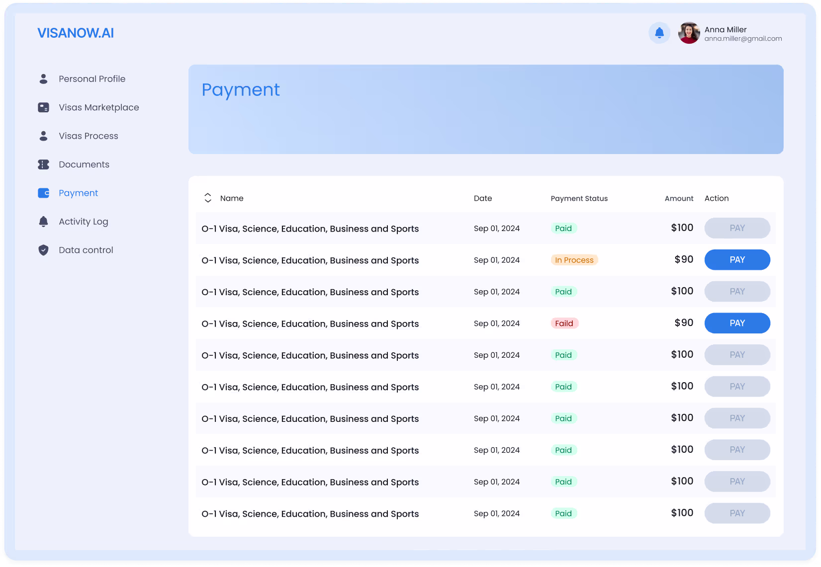 Payment and checkout screen in VisaNow.AI for visa preparation services